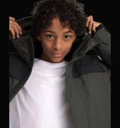 Varma Jackor><noscript><img width=